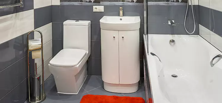 Hansgrohe Shaving Mirror Hempstead